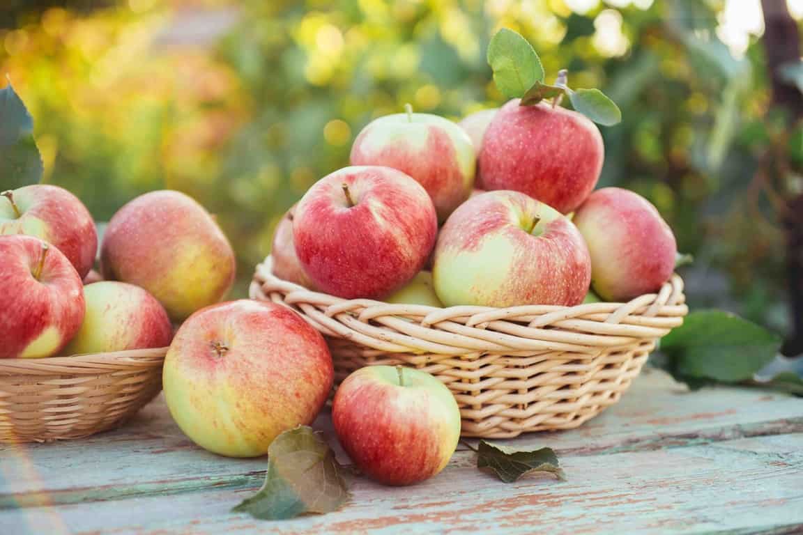 Health Benefits of Manzana Delicia: Peru’s Natural Superfruit