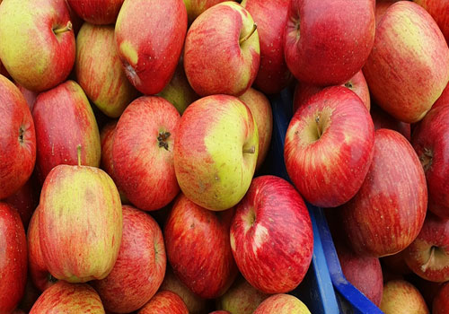 The Sweet Taste of Peru: A Guide to Manzana Delicia Apples