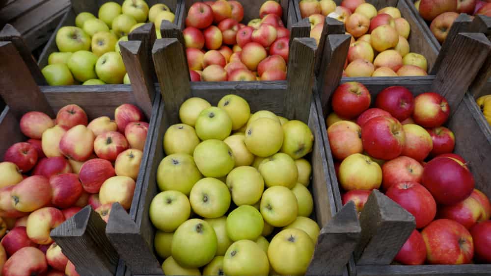 Manzana Delicia vs. Other Apple Varieties: What’s the Difference?